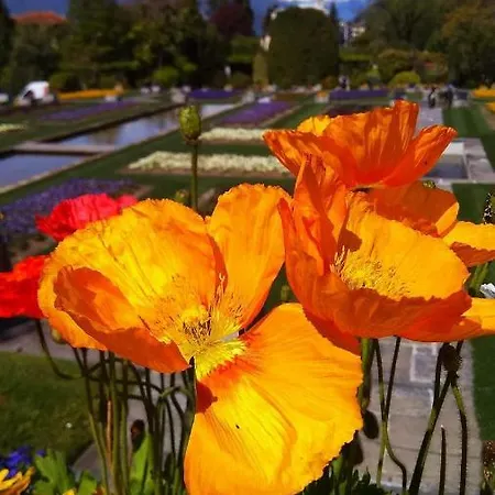 Daire Il Portico Baveno